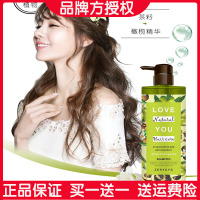 专柜正品 700ml 1瓶/橄榄油茶籽洗发水[628ml] 甄语香夫洗发水留香洗护套装陈三废gg陈婷mm韩饭饭推荐同款沐