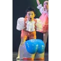 男款 110 第十届小荷风采再见幼儿园儿童表演服元旦公主裙合唱演出服蓬蓬裙