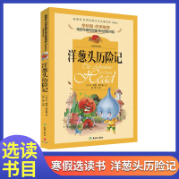 洋葱头历险记(注音) 2022春下学期海门学校一年级寒假课外选读书小石头哪吒闹海洋葱头历险记小刺猬理发全套5册小学生1年