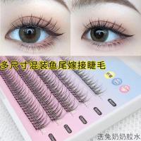 分段鱼尾仙子毛假睫毛自然仿真嫁接自己接虞书欣女单簇自粘眼睫毛
