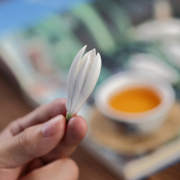 小号白玉兰茶宠1朵 安全包装 三山堂 玉兰花茶宠香插精品摆件可养 变色茶具茶台摆件创意禅茶玩