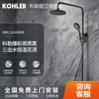 科勒(KOHLER)黑色花洒淋浴套装家用挂墙式全铜淋雨洗澡沐浴器28655T