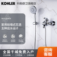 科勒淋雨花洒浴缸花洒龙头菲尔法斯挂墙式家用淋浴器套装8654T