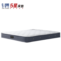 [取消]芝华仕5星:SN002床垫,厚24cm
