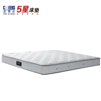 芝华仕5星:SN001床垫,厚22cm(5张起提)