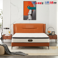 [5星店]芝华仕:莱顿高脚皮质床架(2色可选)