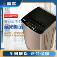 志高(CHIGO)9公斤波轮全自动洗衣机 咖啡金蓝光抑菌 洗脱一体 40内桶