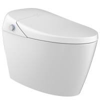 恒洁HCE819A01 Q6智能一体机