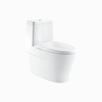 恒洁HC0136DT超旋风节水坐便器