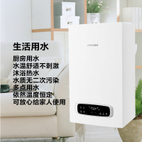 Navien庆东纳碧安燃气壁挂炉24kw恒温家用采暖炉 NGB 200-24K