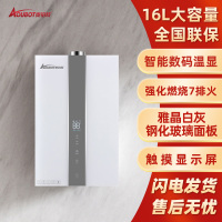 奥铂特(aoubot) JSQ30-XJ11W 货号AR930H燃气热水器 16L数码恒温 雅晶白灰 天然气