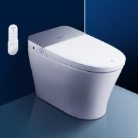 飞利浦(PHILIPS)智能马桶一体机 纳米杀菌男士遥控冲水久坐提醒双冲抗菌即热烘干多功能坐便器AIB6305/6405