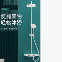 飞利浦(Philips)花洒淋雨套装白色钢化玻璃置物平台9英吋顶喷空气注入硅胶出水孔ASH2534CH/93