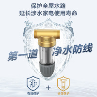 飞利浦(Philips)前置过滤器 不锈钢滤网 家用大流量 全屋厨房净水器AWP1701