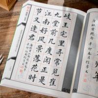 唐诗三百首楷书 赵孟頫颜真卿欧阳询楷书唐诗三百首书法毛笔字帖成人初学入门临摹