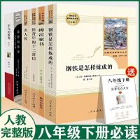 正版人民教育出版社 给青年十二的封信[人教版赠考点] 钢铁是怎么样炼成的傅雷家书名人传苏菲世界给青年十二封信人教版