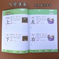 学前入学准备(大开本识字书) 儿童学前看图识字大王儿童书3-6岁大班幼儿园学前班认字早教图书