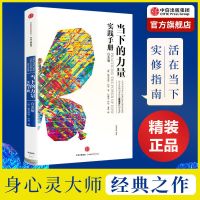 当下的力量实践手册(白金版) 当下的力量(白金版) 精装 埃克哈特·托利 自我励志经典成功图书