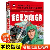 名校班主任 钢铁是怎样炼成的 注音版 钢铁是怎么样炼成的无障碍阅读大阅读系列正版初中生青少年版课外