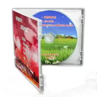 10个 光面全透明PP软塑料CD DVD盒不易碎单片光盘盒单碟光碟壳收纳盒