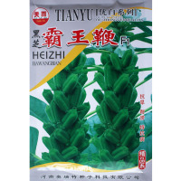 黑芝霸王鞭/100克 黑芝麻 黑芝霸王鞭黑芝蔴种子白芝麻霸王鞭芝麻籽小杂粮芝麻籽庭院田园种