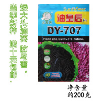 大禹牌油皇后DY707油葵200克 大禹油皇后DY707油葵种子矮大头榨油专用葵花籽向日葵种子抗鸟害