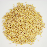 5斤装熟燕麦 打豆浆的杂粮组合商用现磨五谷豆浆原料包 低温烘焙