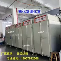 黑色 轴头 工业烘箱空气能烘干箱高温烤箱电加热印刷固化室熟化室干燥烘箱