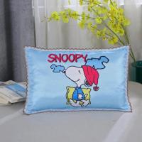 蓝皮皮狗 丝绵[枕套+枕芯] 儿童幼儿园宝宝午睡苏菲亚艾莎冰雪奇缘2爱莎公主决明子冰丝枕头