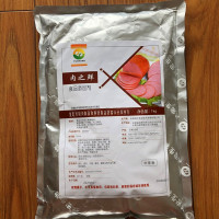 肉之鲜收藏加购优先发货,送样品 原上海越宏肉之鲜防腐剂肉制品专用防腐酱卤肉火腿生肉腊肉防腐剂