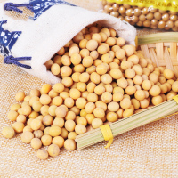 丰之坊黄豆500g 农家大豆 生豆芽打豆浆专用豆类非东北