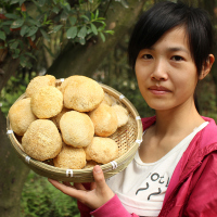 娟姐古田猴头菇 福建特产干货 深山农家猴头菌 无硫熏220g