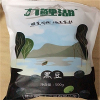 九鲤湖黑豆 绿芯黑豆东北农家黑豆青仁乌豆粗粮豆类杂粮500g