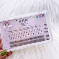 分段 鱼尾+仙子毛 假睫毛自然仿真嫁接自己接虞书欣女单簇眼睫毛