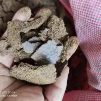 新鲜菜籽饼5斤 打窝菜子饼窝料菜籽油枯饼菜籽油饼肥料菜籽饼打窝野钓鲫鱼饵