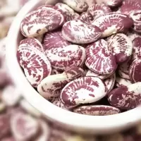 云南农家荷包豆状元豆大肾豆500g豆类五谷杂粮花芸豆斑马豆子花豆