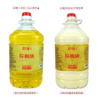 邸铺 5L食用成品棕榈液油 炸鸡炸翅 炸薯条 油炸 烘焙 起酥食用油