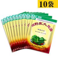 田野泉酱90g*10袋 田野泉大豆酱10袋20袋正宗东北大酱黄豆酱炸酱蘸酱菜调味酱大豆酱