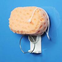 韩国DEHUB吸盘洗脸海绵架 洁面海绵夹粉扑夹子 洁面扑夹洗脸扑架