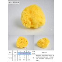 TS3029[特] 地中海天然丝海绵 脱色天然海藻棉3.0~3.5英寸小号洁面卸妆洗脸绵