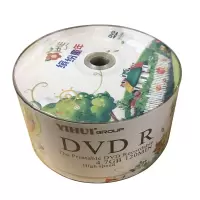 刻录盘50片 六一刻录盘 卡通刻录盘 空白刻录光盘 六一影视光盘 DVD刻录盘