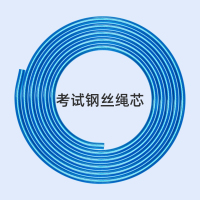 4mm钢丝备用绳 一条(无手柄) 智睿汇海跳绳中考专用学生电子计数考试钢丝绳广东长沙杭州慈溪用