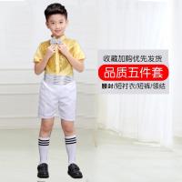 男款亮片黄色 110cm 六一儿童蓬蓬裙演出服幼儿园合唱舞蹈服女童公主裙纱裙表演服亮片