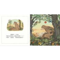 正版 信谊世界精选图画书勇敢的小熊 精装硬壳绘本早教启蒙 幼儿园小学生儿童情绪管理亲子共读故事图画书 0-3-6-9周