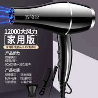 亮黑色12000风力送三 德国发廊专用电吹风家用大小功率吹风机蓝光负离子护发静音冷热风