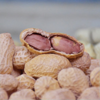 奶香味400克*2 卤味花生烘烤奶香花生蒜香花生带壳炒花生炒货干果散装袋装800克