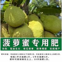 菠萝蜜肥1斤 菠萝蜜专用肥料果树高产保花保果氮磷钾复合肥水溶肥农用化肥料