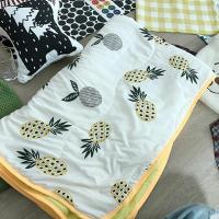 小毯子 小菠萝 150cm*110cm ins夏日午睡毯胡萝卜菠萝空调毯卡通空调被午睡被可爱薄被子单人