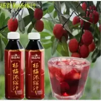 杨梅汁1瓶装 扬百利杨梅汁 奶茶饮品店专用杨梅浓缩汁 商用浓缩杨梅汁果汁1kg