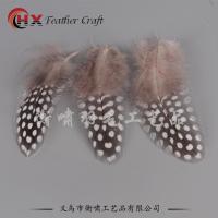 珍珠毛20片 diy白色羽毛野鸡羽毛火鸡毛毕业设计羽毛婚庆装饰小羽毛